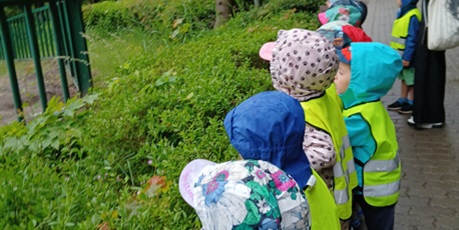 Powiększ grafikę: Wycieczka do ZOO 1 i 2 grupa